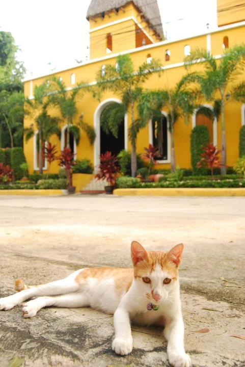 Riad HHQ Exterior foto